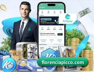 aoa网页版入口中文版 APP 深度功能